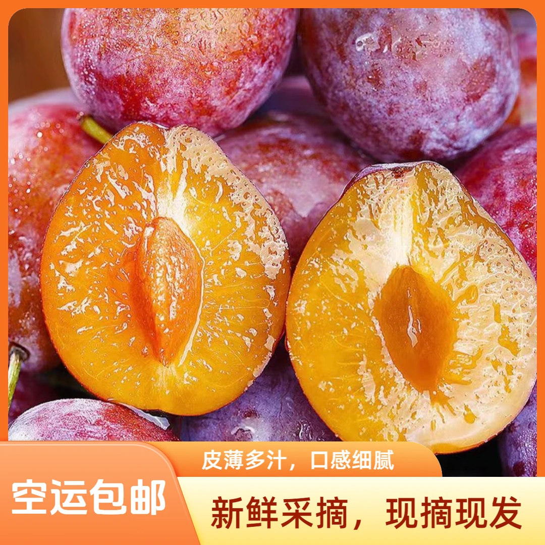 【新疆直发】正宗新疆西梅 新鲜水果产地直发鲜果孕妇应季现摘酸甜