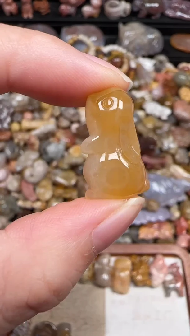 颈饰未镶嵌硅化珊瑚（珊瑚玉）861