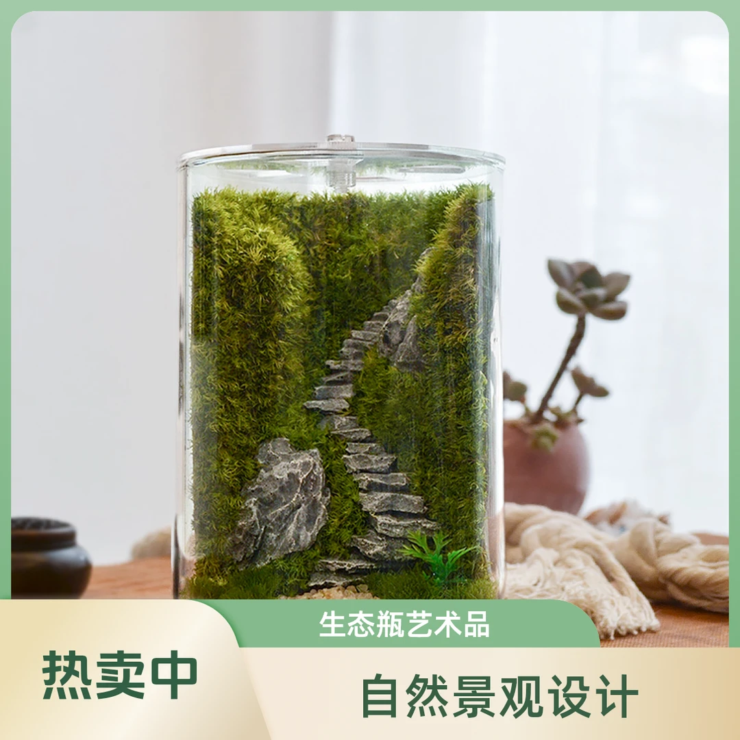 【特惠】步步登高 迷你植物 微景观 创意手工DIY套材包