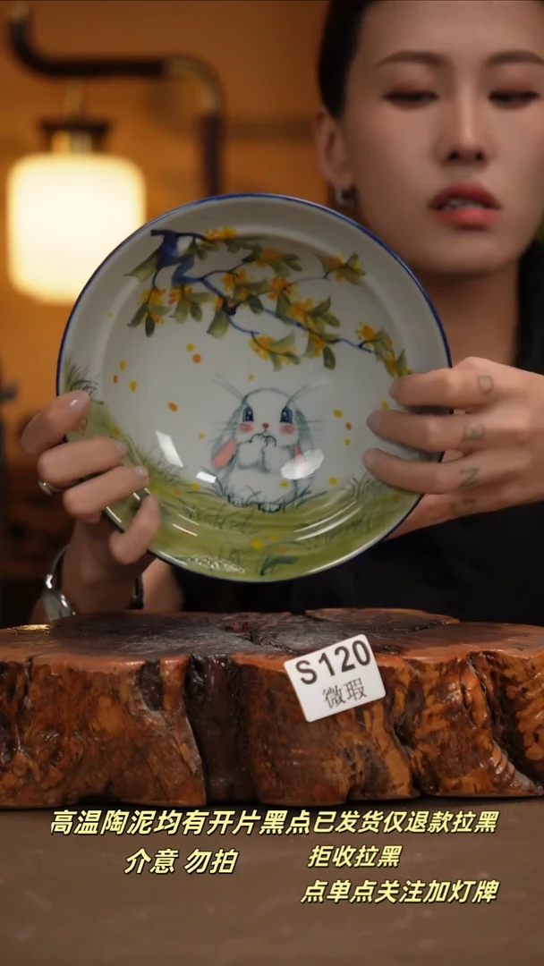 其他WS120新十二器瓷器