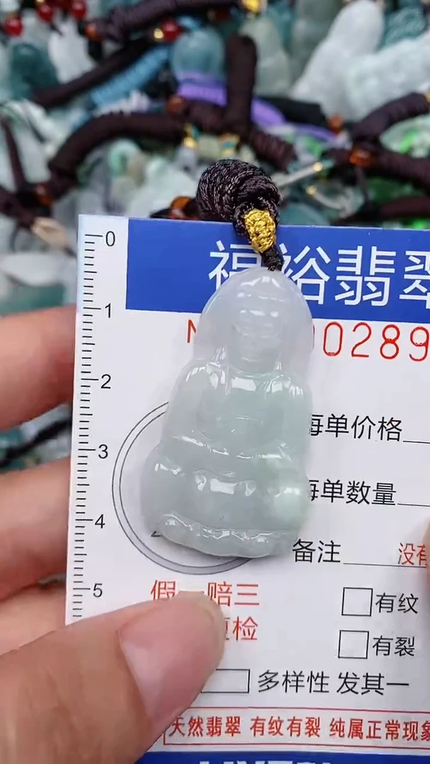 翡翠未镶嵌颈饰...0000289