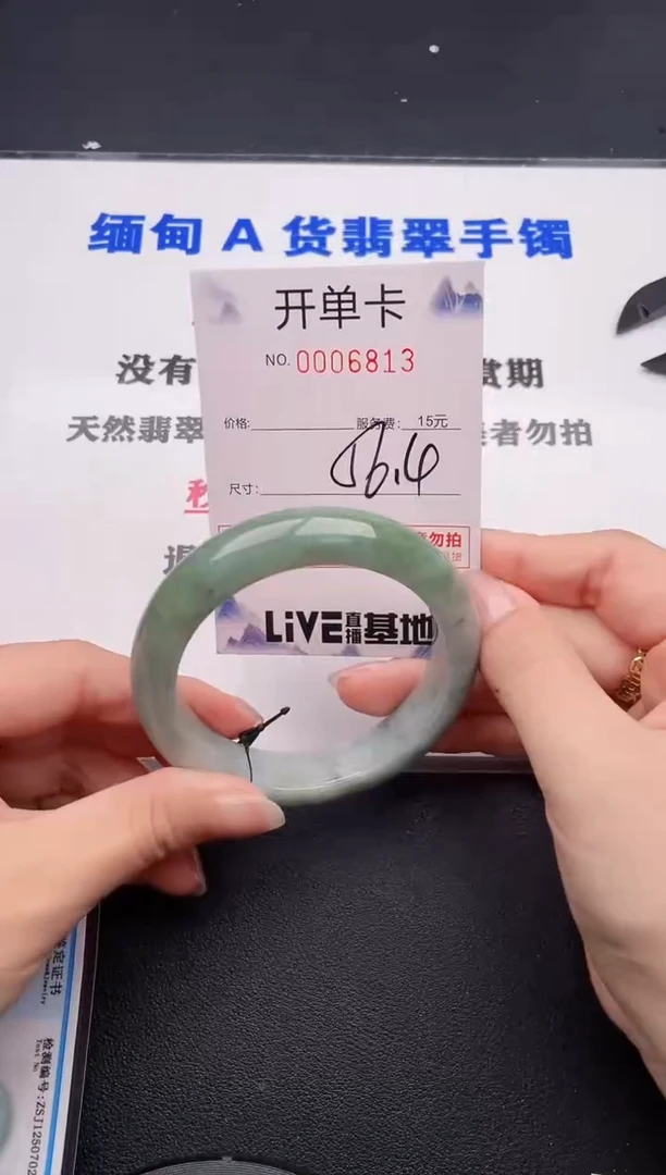 未镶嵌手镯翡翠13