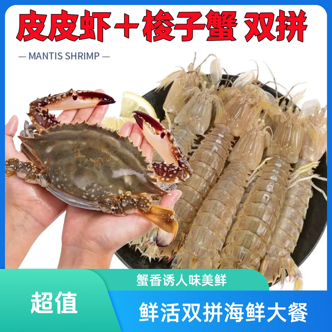 【鲜活双拼】中号皮皮虾+中号梭子蟹 螃蟹 海蟹  海鲜 虾爬子 爬爬虾【保鲜不保活】    斤 两 只