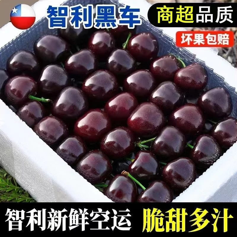 5斤5J智利桑提娜空运车厘子进口脆甜多汁顺丰包邮XL（内附果径卡）