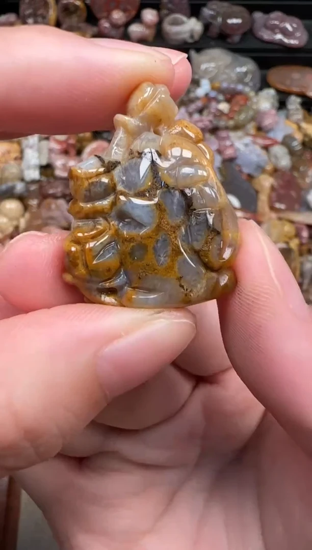 颈饰未镶嵌硅化珊瑚（珊瑚玉）514
