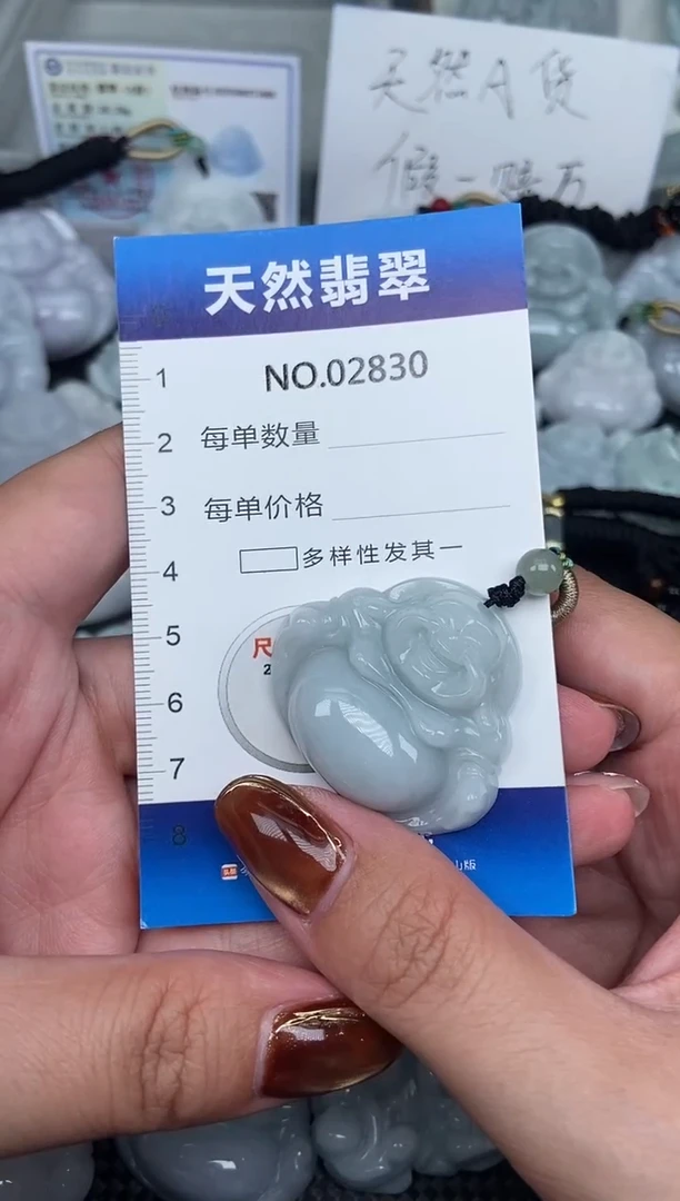 颈饰未镶嵌翡翠天然A货翡翠纯2830
