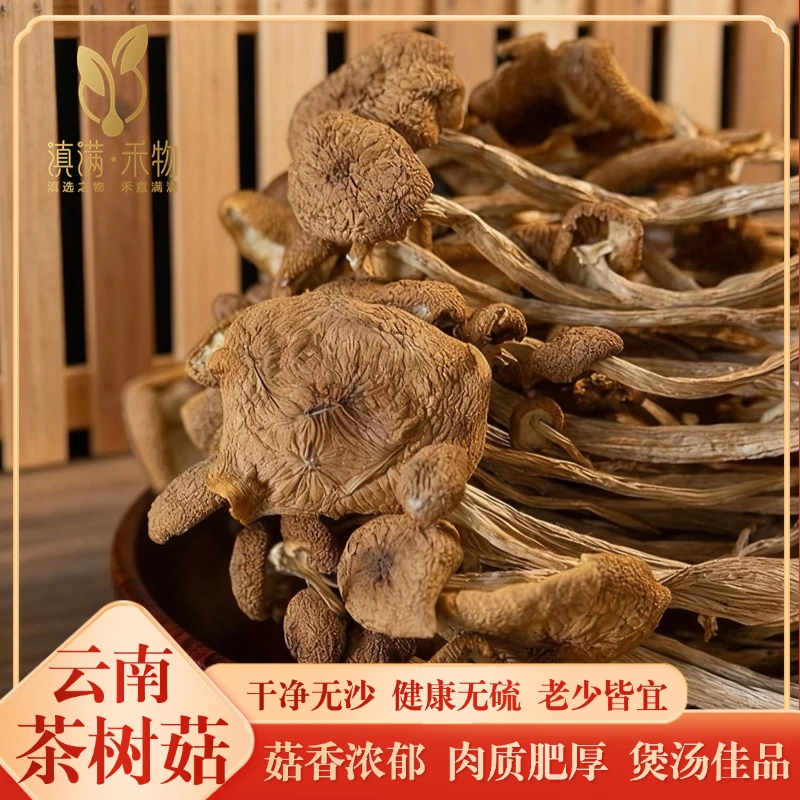 云南茶树菇干高钙高蛋白无硫熏染健康营养炒菜煲汤佳品火锅食材