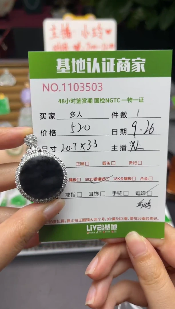 吊坠(不含链)银S925镶嵌翡翠多人
