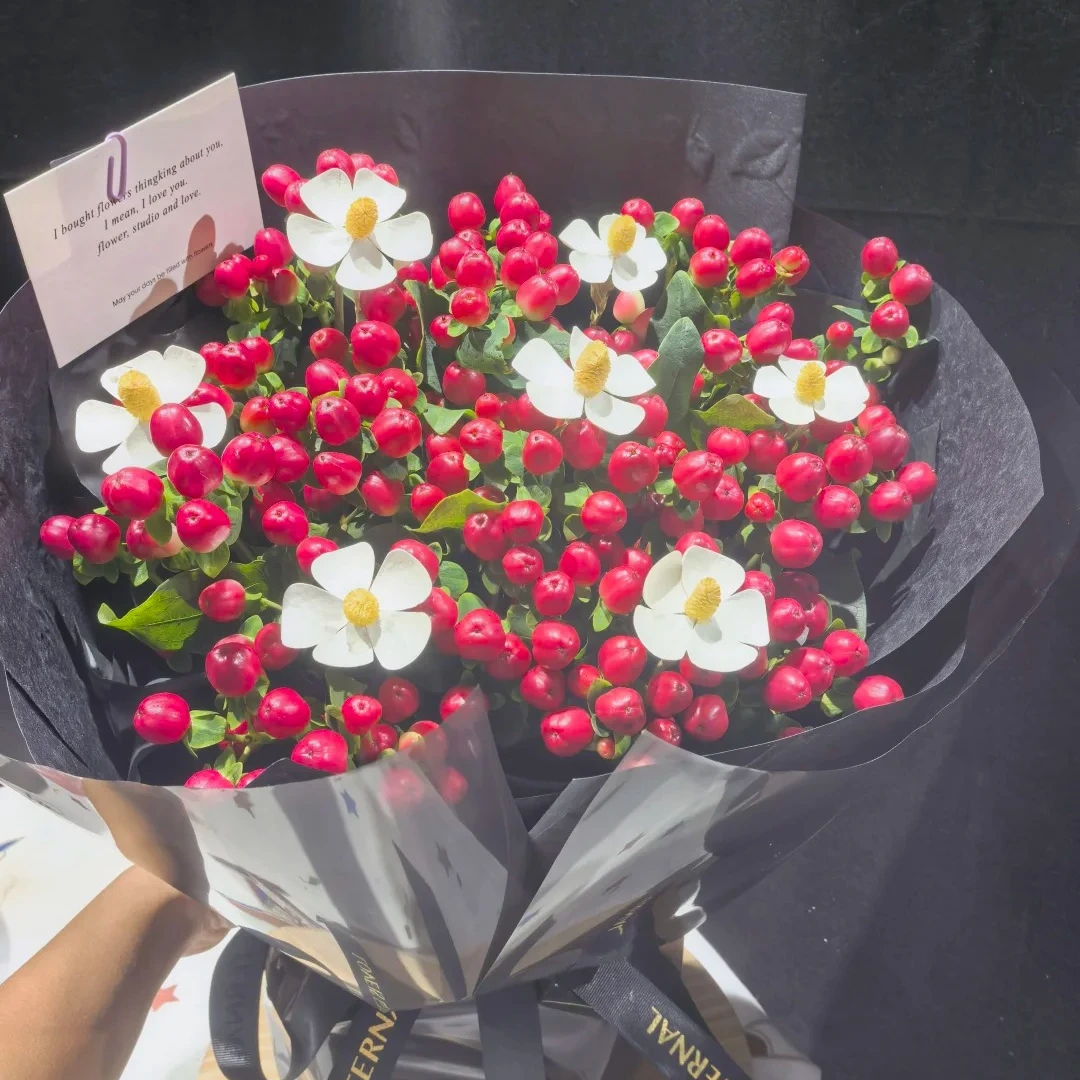 【红豆-相思红豆】云南鲜花 婚庆花材家居插花一单包邮昆明基地直发