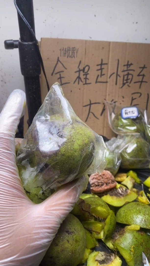 不退不换ZWF南瓜墩26