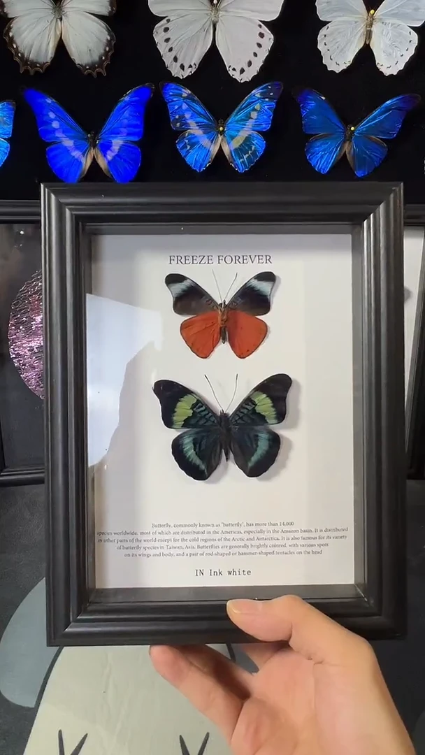 锯夹对蝶欧版相框