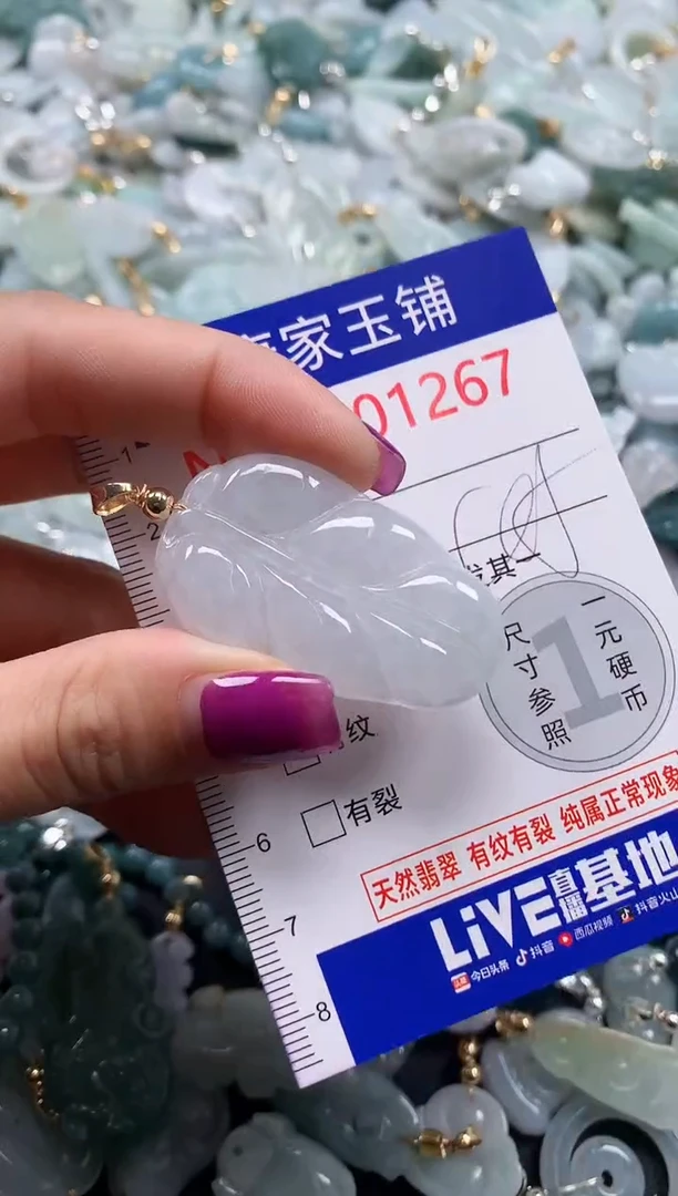 颈饰未镶嵌翡翠1267