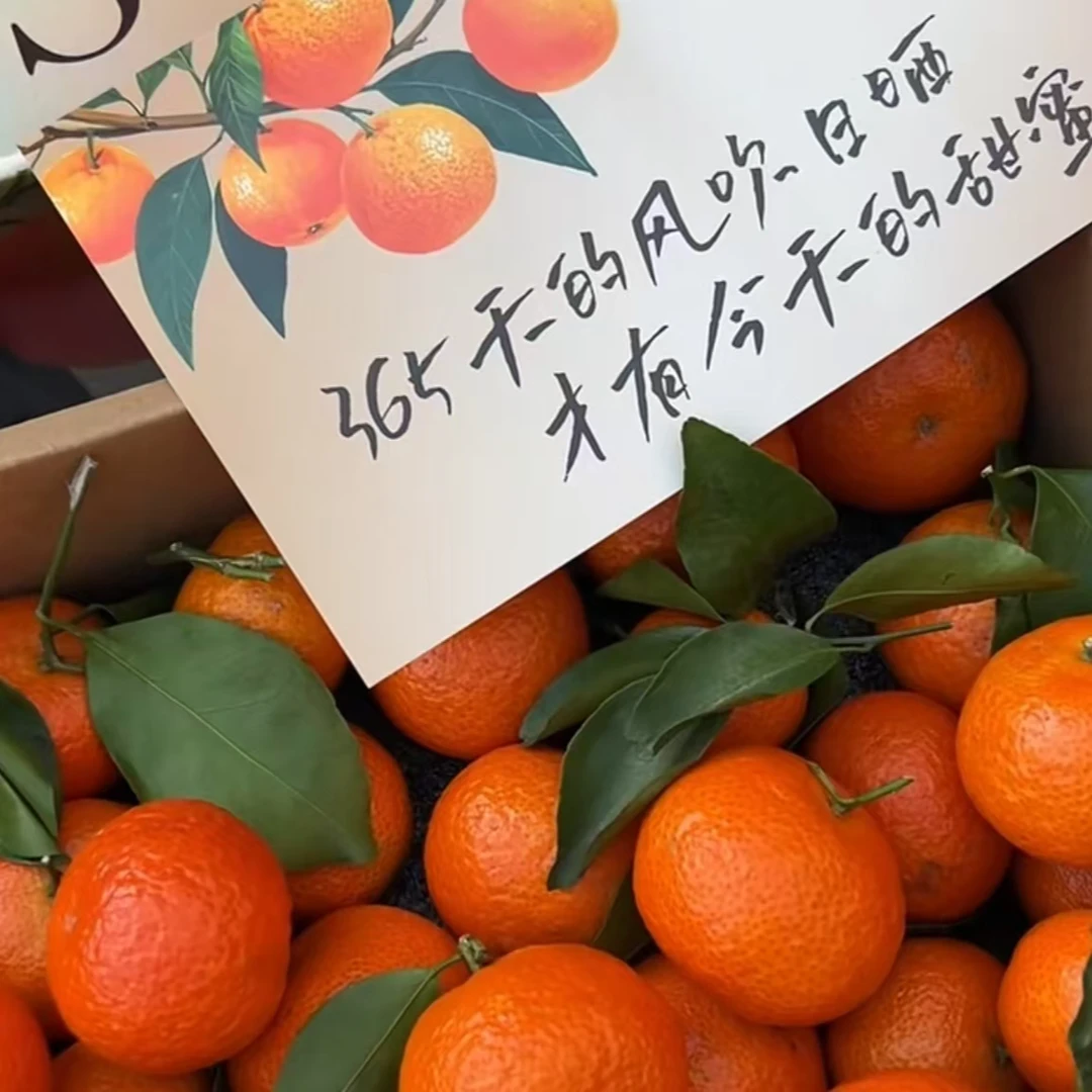 【恒泽优选】广西赤霞砂糖桔自然完熟不打蜡/6斤/礼盒版