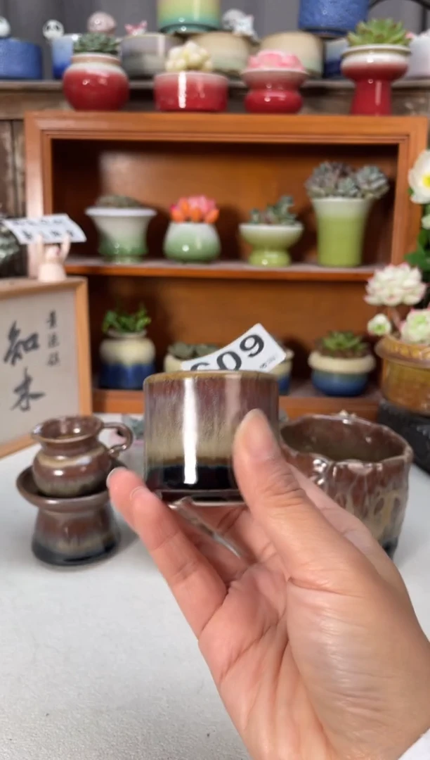 瓷片嗡***嗡609知木小芳花盆