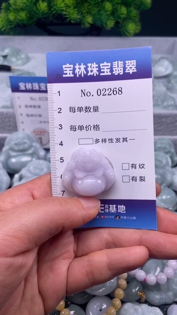 颈饰未镶嵌翡翠天然缅甸翡翠2268