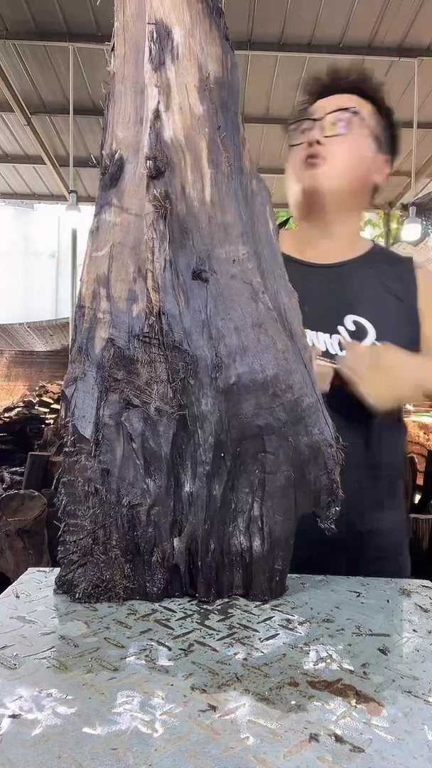 金丝楠小叶桢楠151