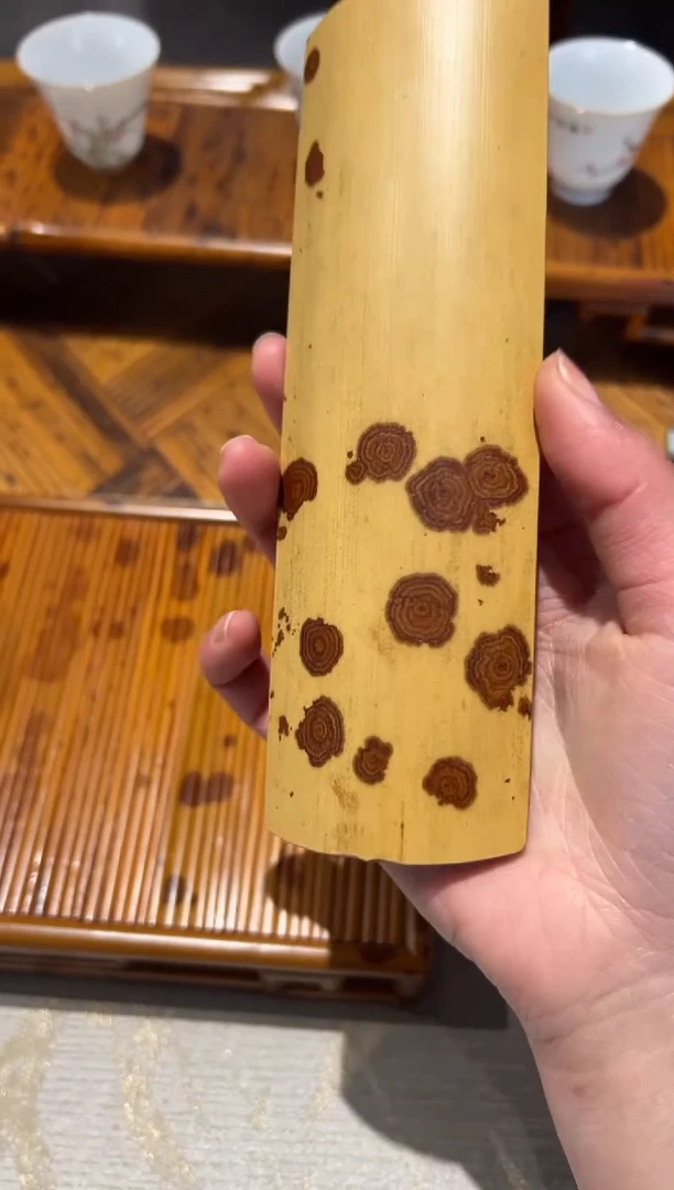 【闪购商品】扇子麻栗坡老云妃茶则