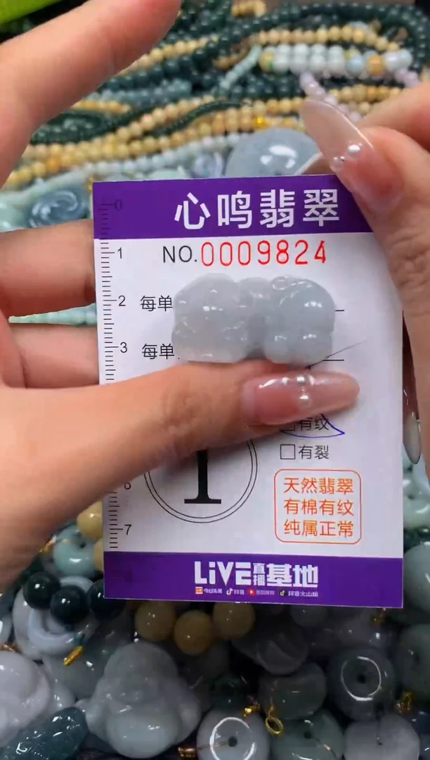 颈饰未镶嵌翡翠闪购009824