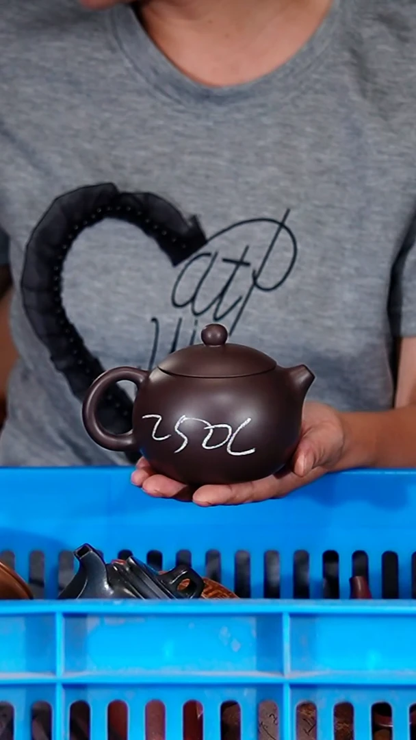 宜兴原矿紫砂壶茶壶250C