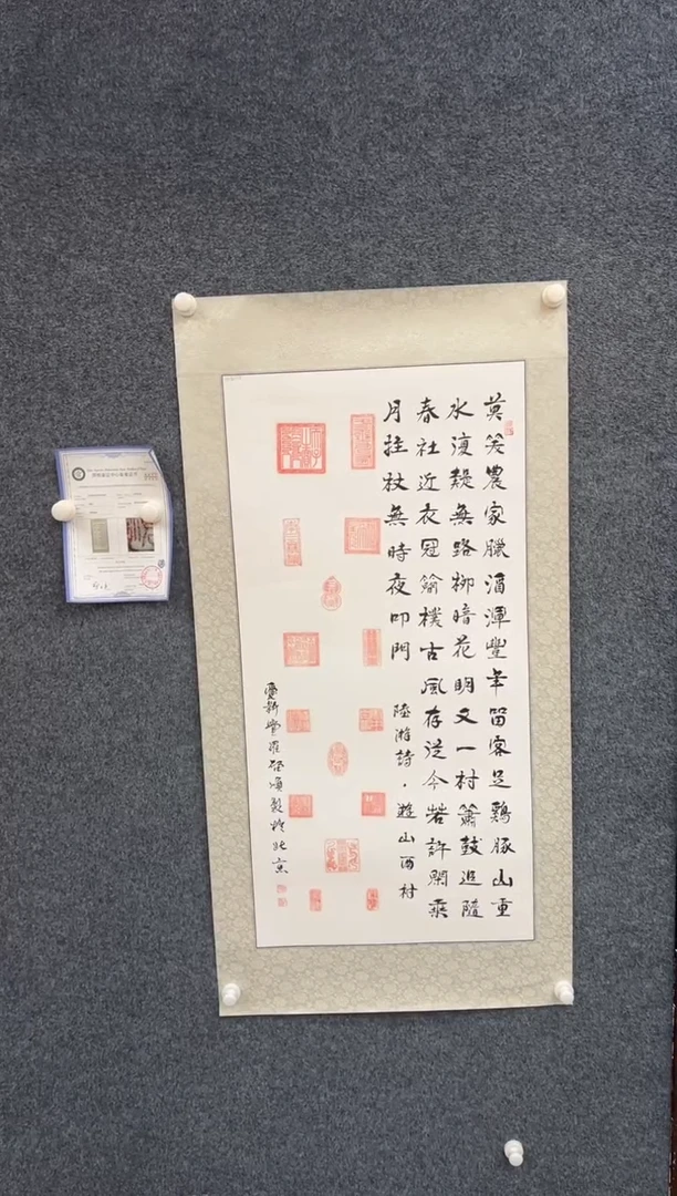 国画启老师书法-托底书法-005