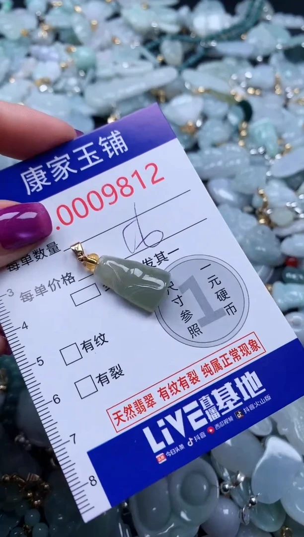 颈饰未镶嵌翡翠9812
