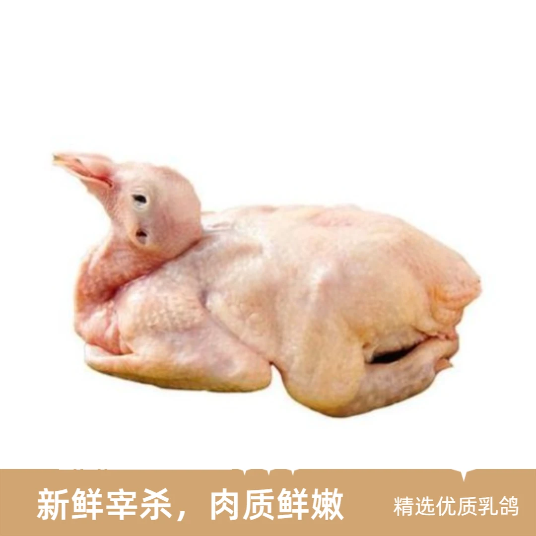 鲜鸽子一只/份300g