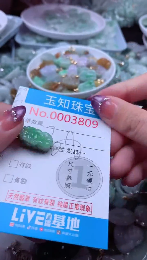 翡翠未镶嵌吊坠(不含链)3809