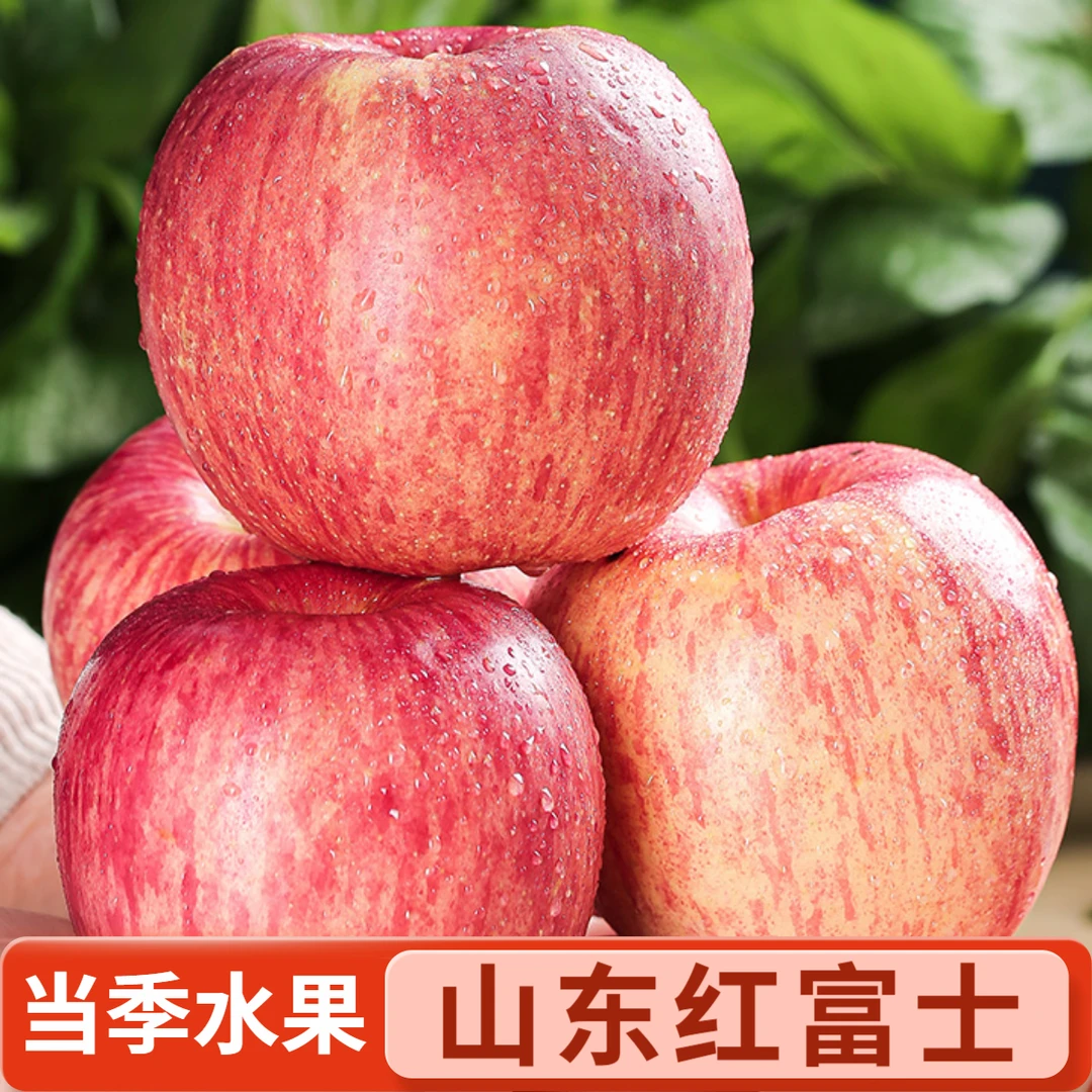 【10斤装红富士苹果】正宗山东红富士苹果当季脆甜多汁现摘产地直发