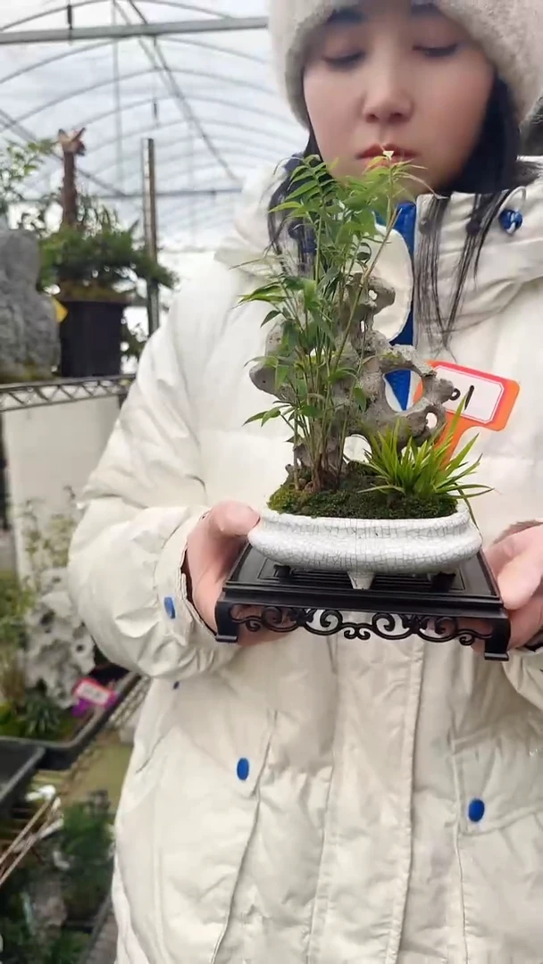 【闪购商品】001