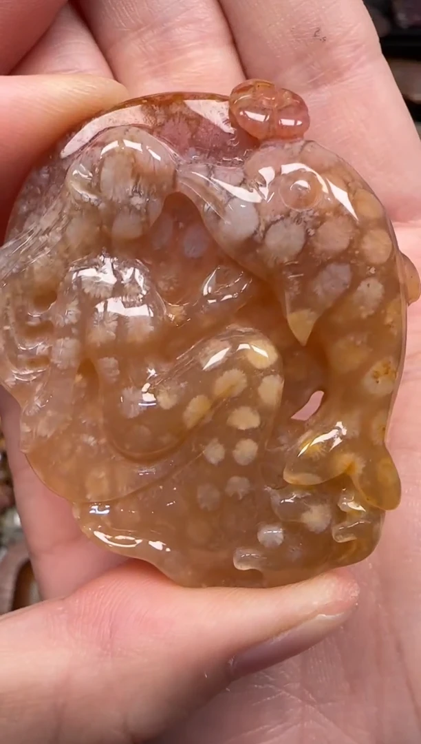 硅化珊瑚（珊瑚玉）未镶嵌颈饰595