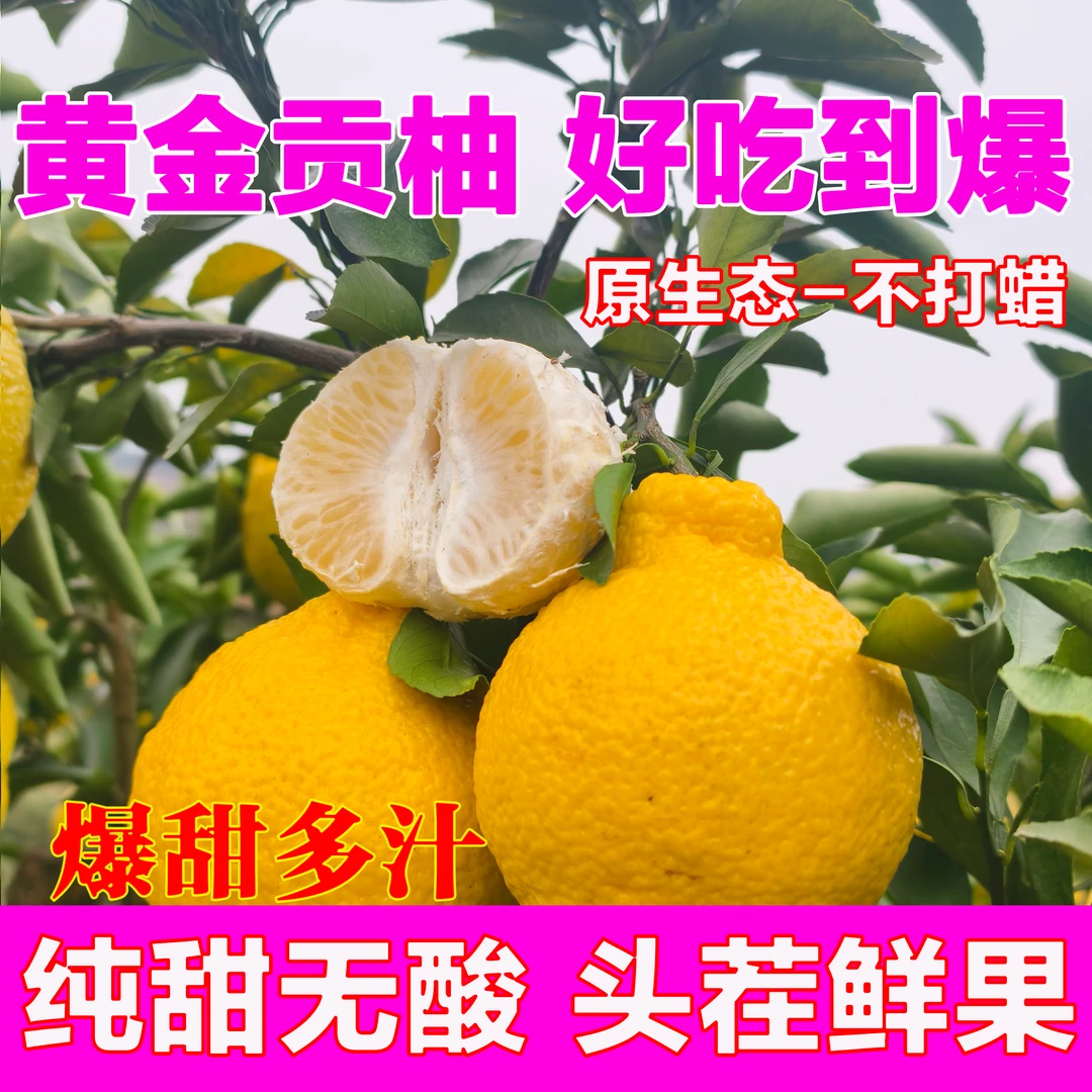 湖南岩垅黄金贡柚正宗怀化象山青清甜无酸当季新鲜水果柑橘柚子金