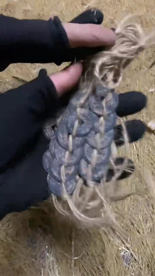 《时光机百货商行》钱币一串