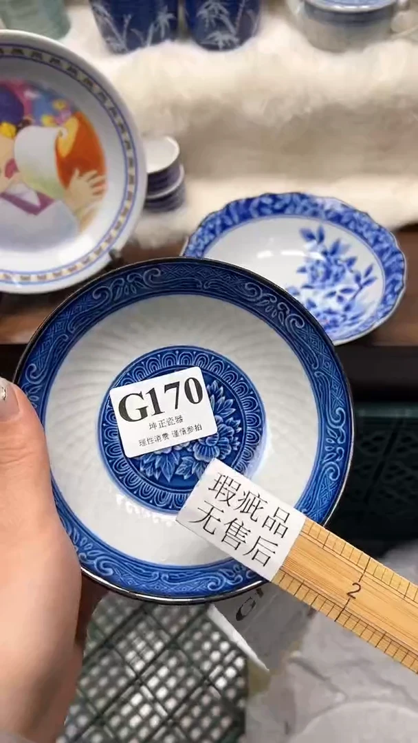 【闪购商品】瓷片             G170