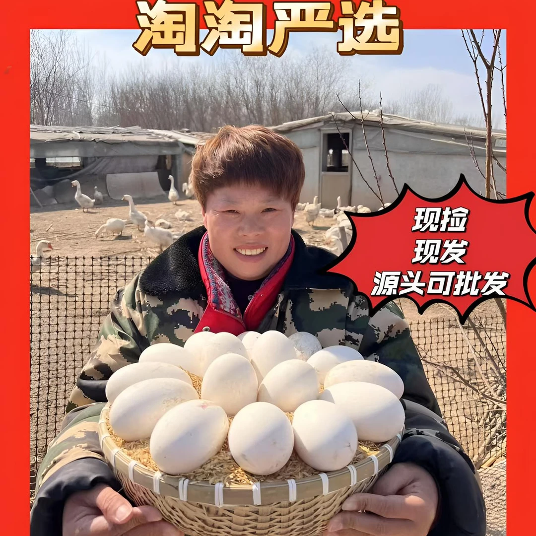 顺丰包邮【12枚】新鲜正宗农家散养双黄土鹅蛋单个重120g左右D