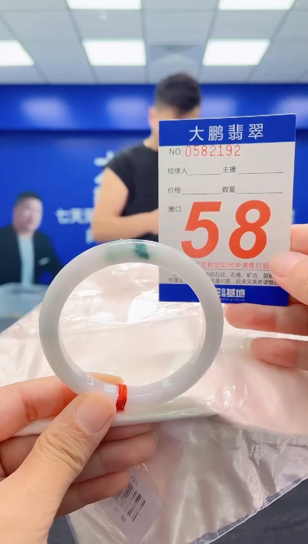 未镶嵌手镯翡翠AAAAAAAAA