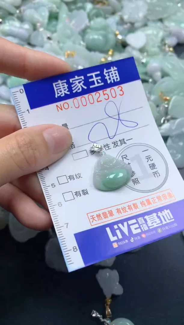 颈饰未镶嵌翡翠2503