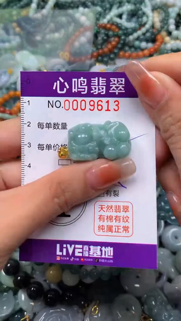 颈饰未镶嵌翡翠闪购009613
