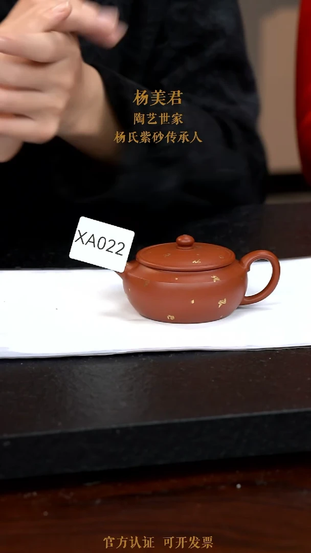 【闪购商品】紫砂茶壶XA022-0117JMY