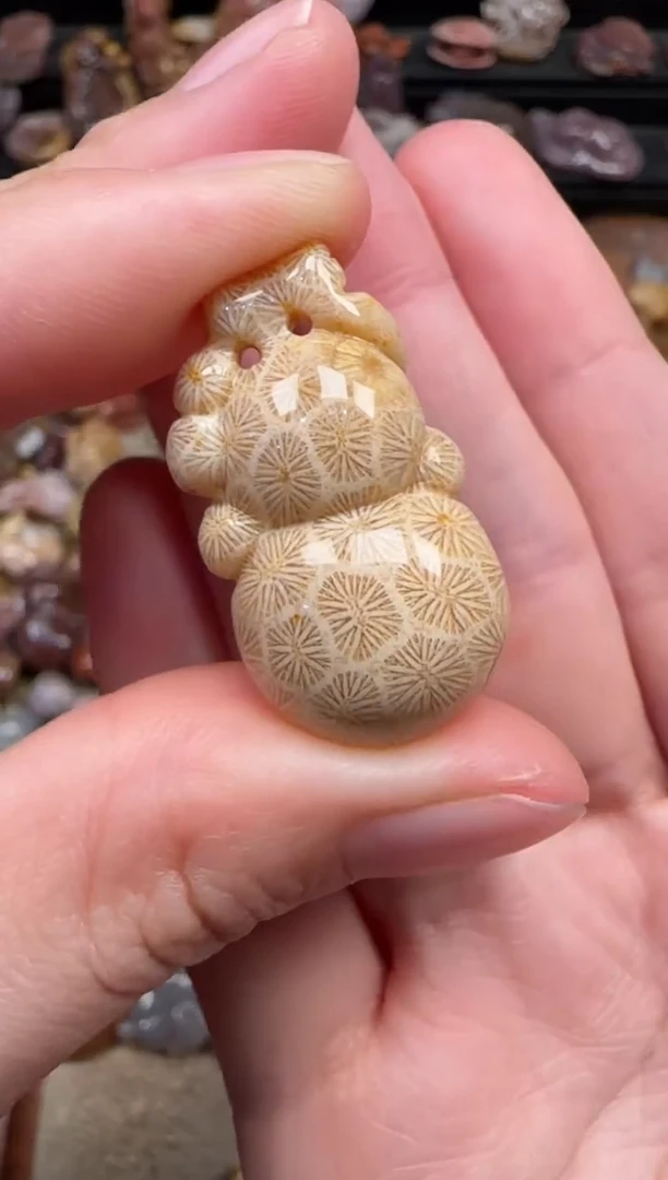 颈饰未镶嵌硅化珊瑚（珊瑚玉）165