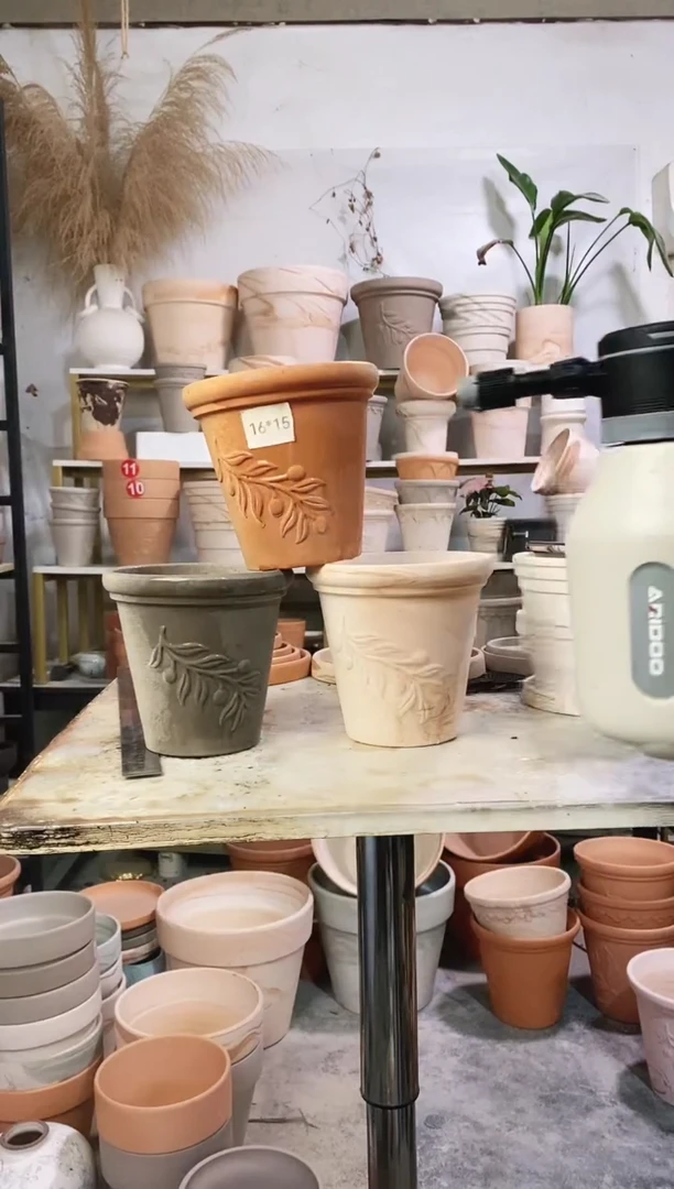 16*15橄榄枝3色组合 3盆无托