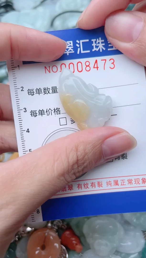 颈饰未镶嵌翡翠8473