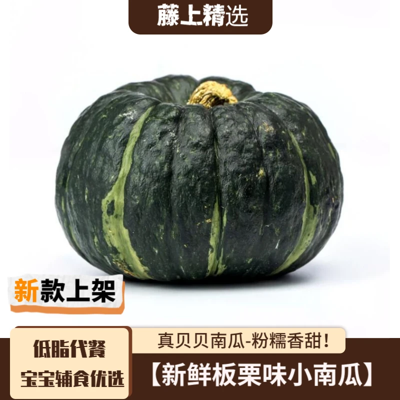 山东正宗贝贝南瓜板栗南瓜新鲜板栗味小南瓜栗面老瓜现摘粉糯南瓜