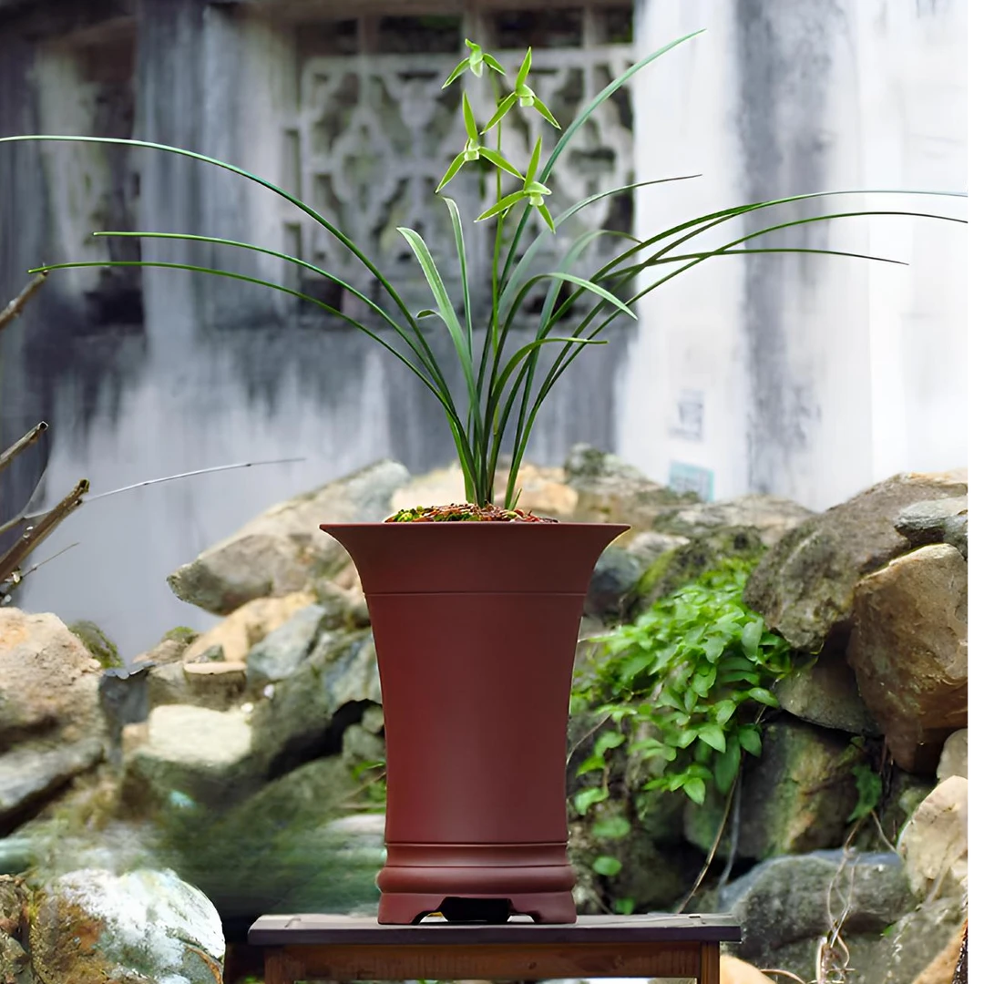精品桌面紫砂兰花盆春兰建兰盆蕙兰寒兰莲瓣兰盆左面绿植盆