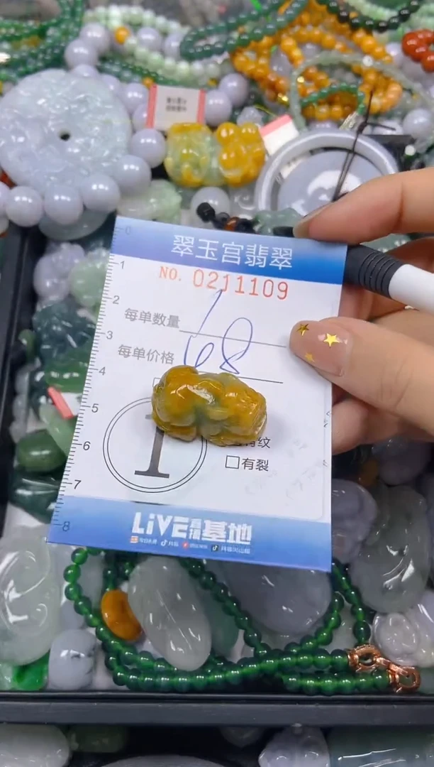 颈饰未镶嵌翡翠闪购C0211109