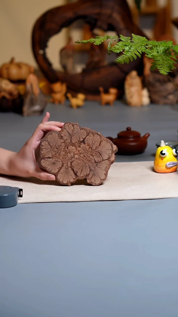 木九龙藤切片杯垫1314