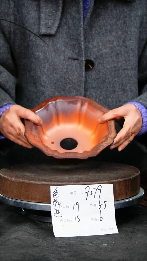 紫砂花盆花卉园艺9279