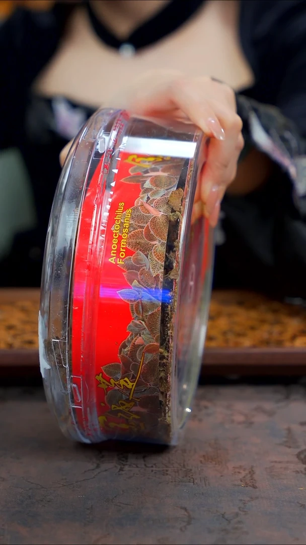 11留器茶斋高货瓷器@@CY0049