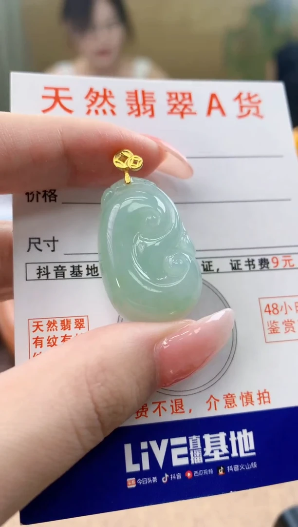 颈饰未镶嵌翡翠天然A货翡翠挂件