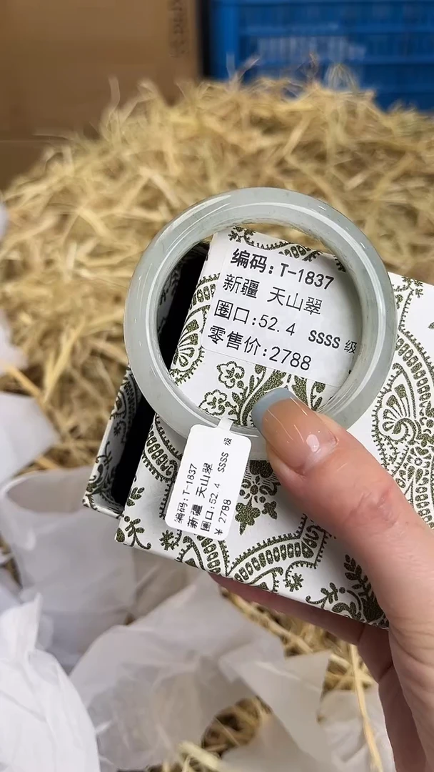 未镶嵌手镯石英质玉T-1837