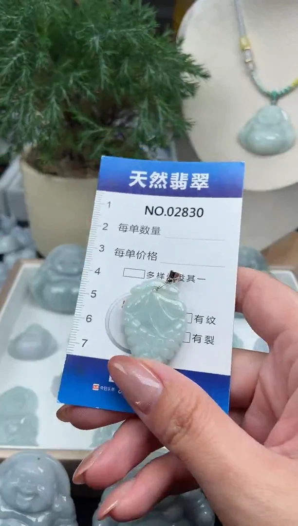 颈饰未镶嵌翡翠纯天然A货翡翠2830